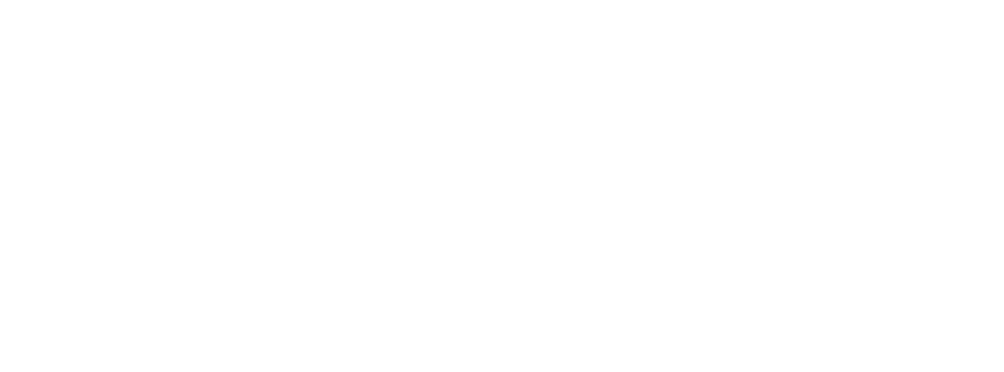 Bolivia Ink Logo